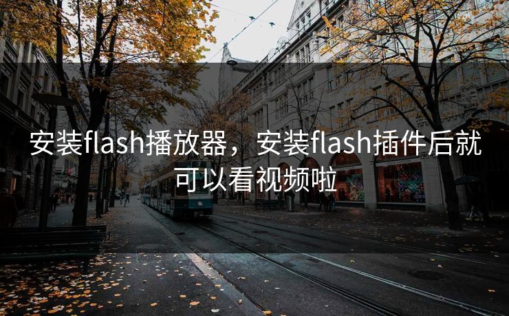 安装flash播放器，安装flash插件后就可以看视频啦